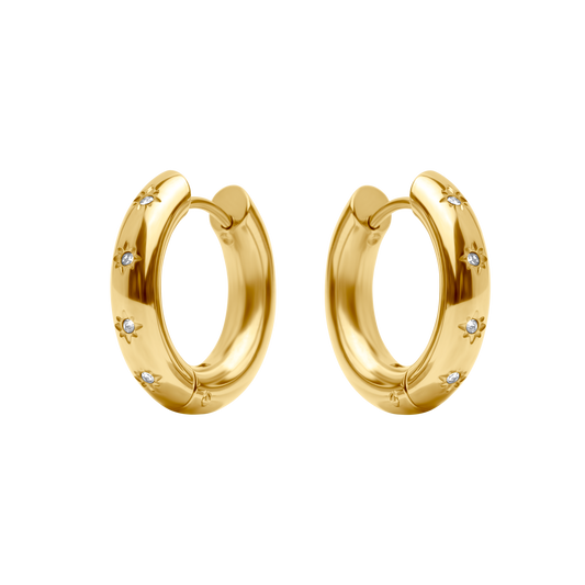 Holly Earrings